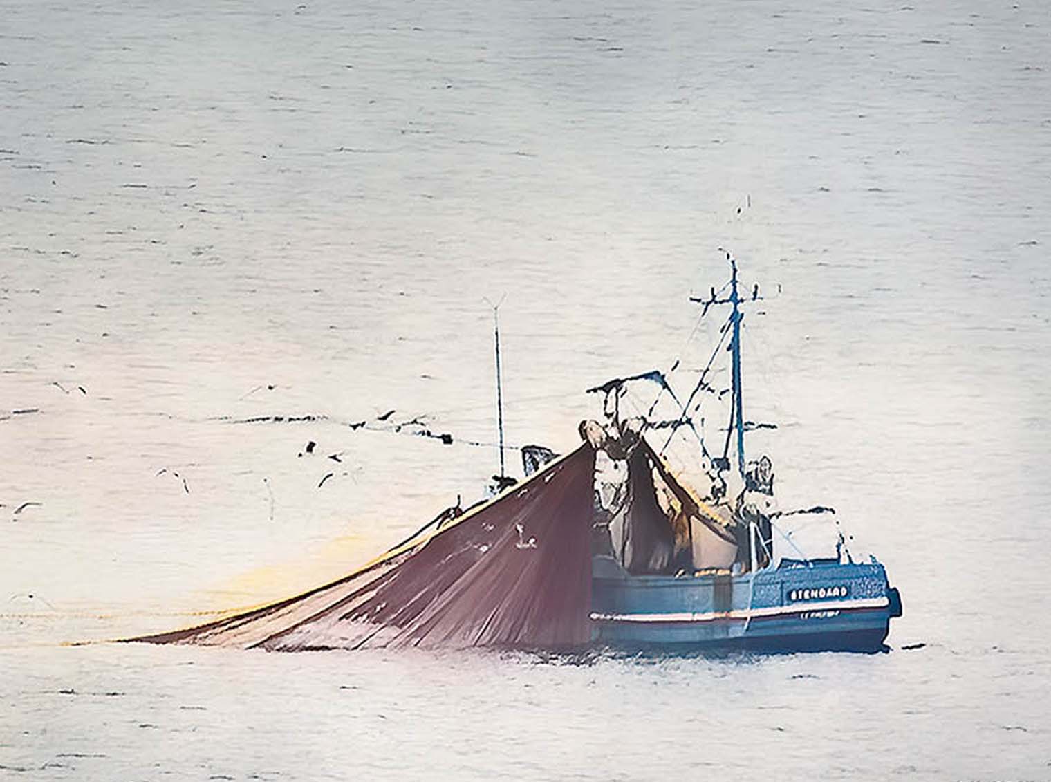 Zoom sur un bateau de pêche à la senne remontant son filet en baie de Douarnenez