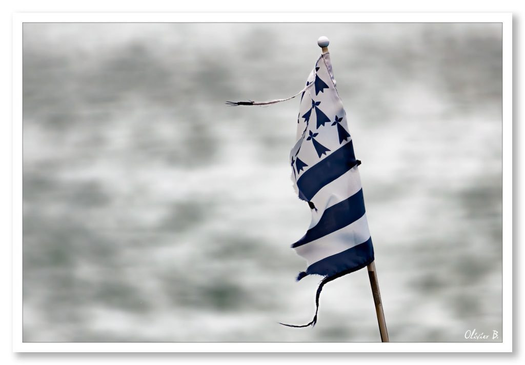 Le drapeau breton (Gwenn ha Du) déchiré, symbole des Bretons résistants aux vents