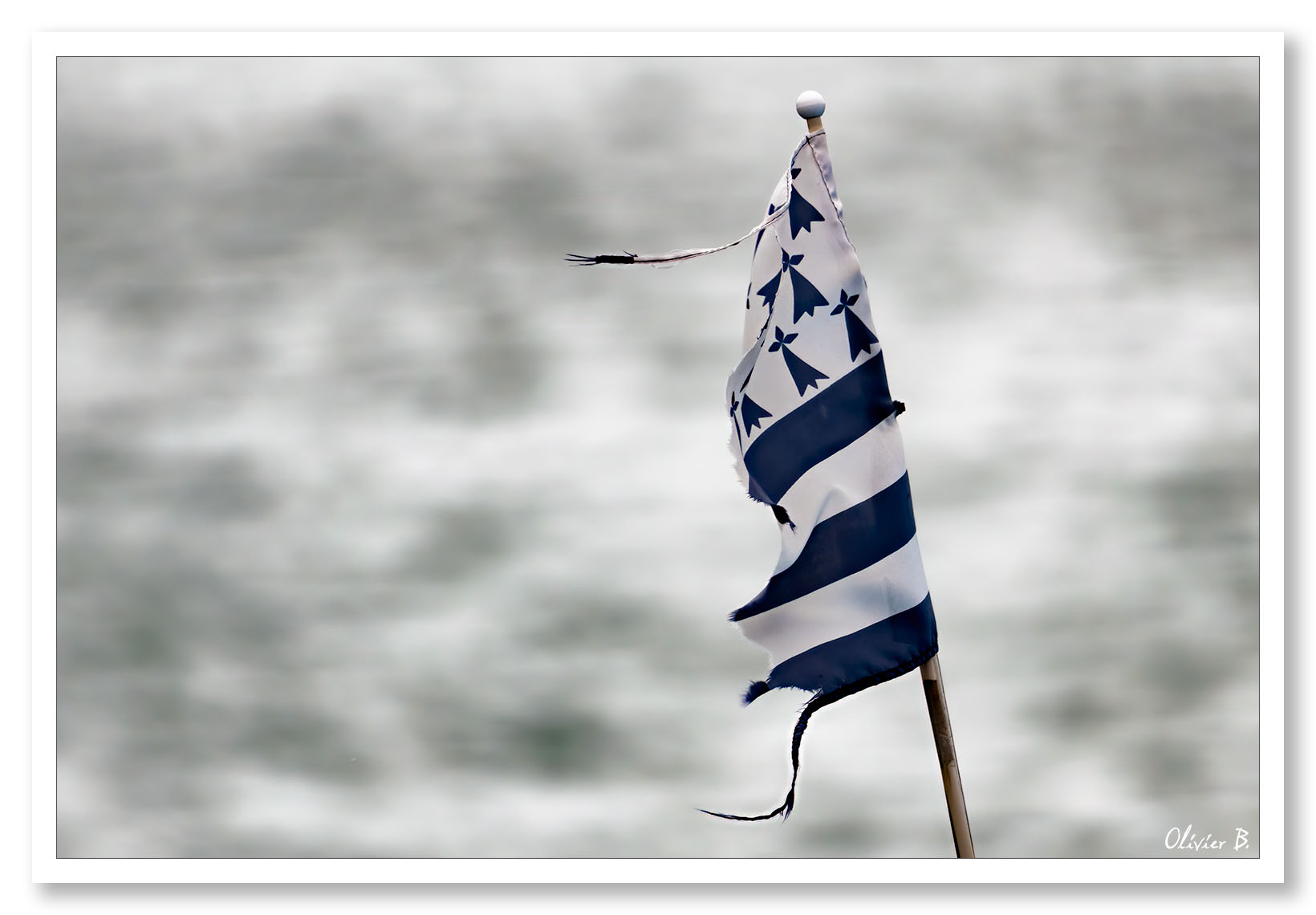 Le drapeau breton (Gwenn ha Du) déchiré, symbole des Bretons résistants aux vents