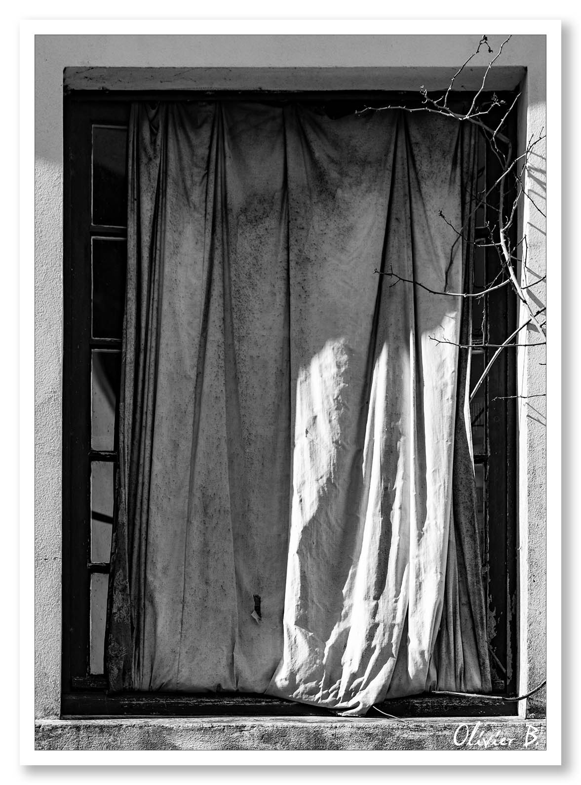 Fenêtre fantomatique, où le vent déplace le rideau et anime les ombres. Les tiges des lierres avancent comme des mains spectrales