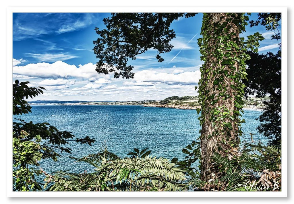 Vue exceptionnelle de la baie de Douarnenez depuis le sentier côtier de Plomarc'h