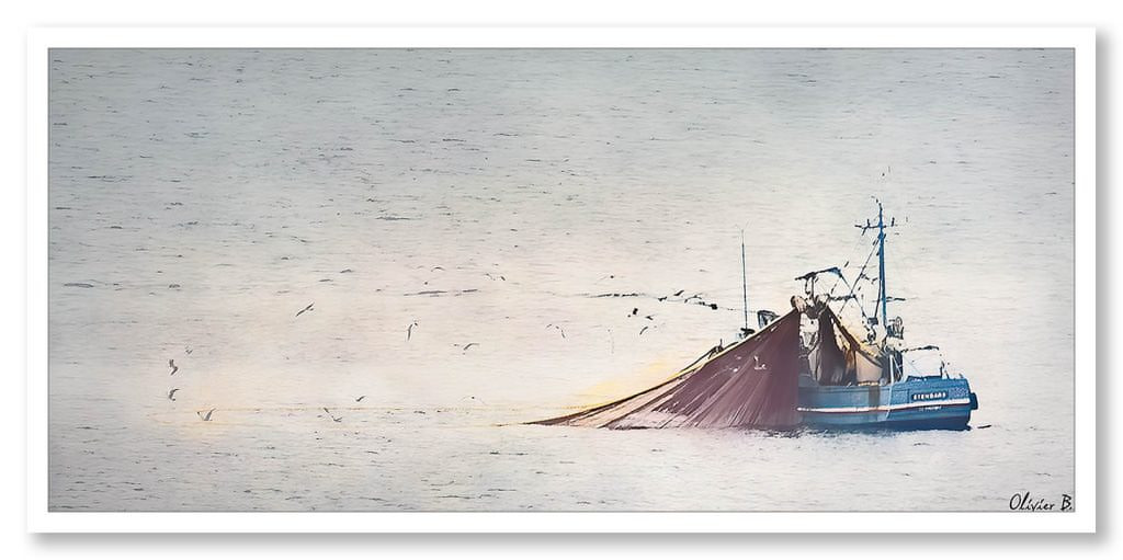 Un bateau de pêche attire des oiseaux marins avec la méthode de la senne