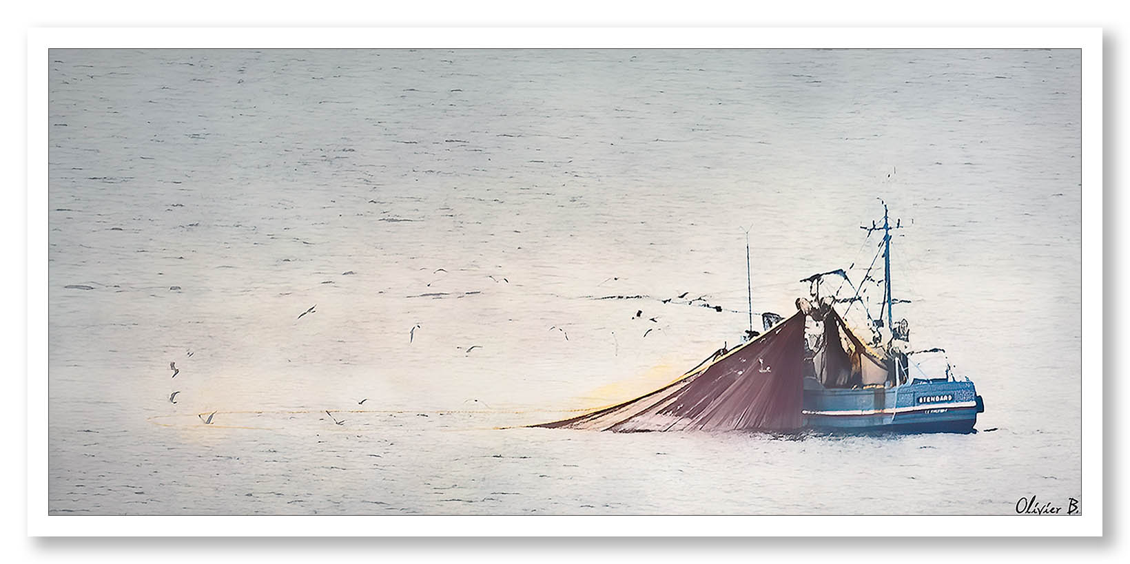 Un bateau de pêche attire des oiseaux marins avec la méthode de la senne